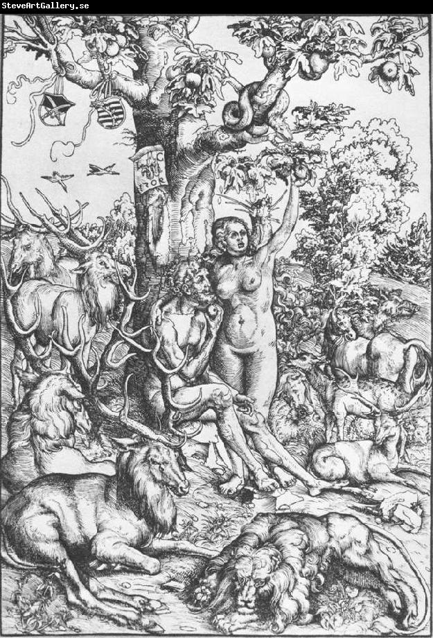 CRANACH, Lucas the Elder Adam and Eve 07
